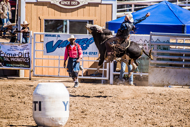 Woodlake Rodeo - Bull Riding