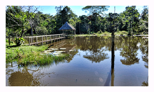AMAZON JUNGLE CAMP,  PERU