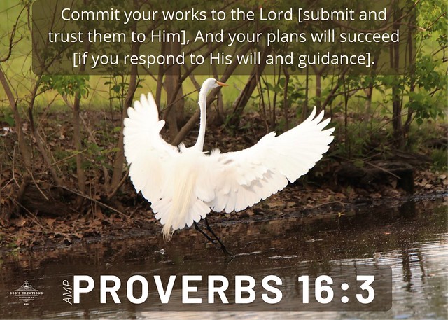Proverbs 16:3 Amplified Bible