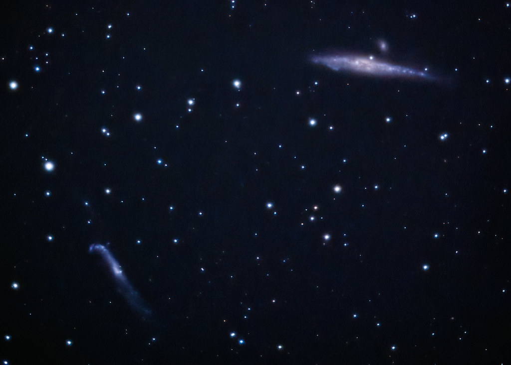 The Whale and Crowbar Galaxies