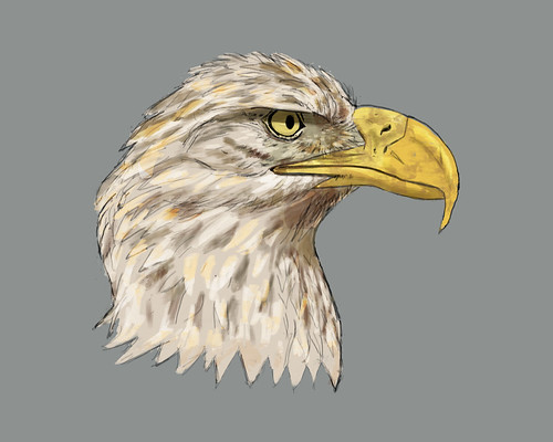 Basic drawn image of the eagle