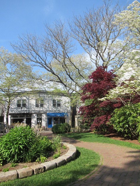 Small park in springtime, view to J. McLaughlin shop, Main Street, Edgartown, Massachusetts