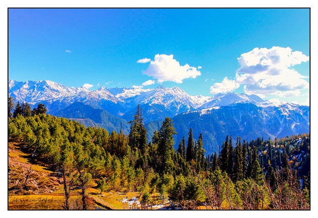 Beautiful Sri-Payee Top -Northen Pakistan_
