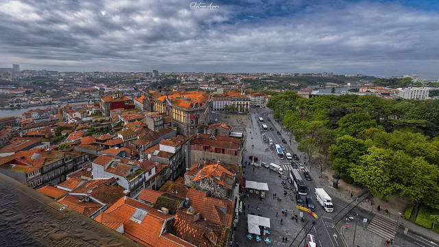 Les toits de Porto. Vue depuis la Torre dos Clérigos (75m)