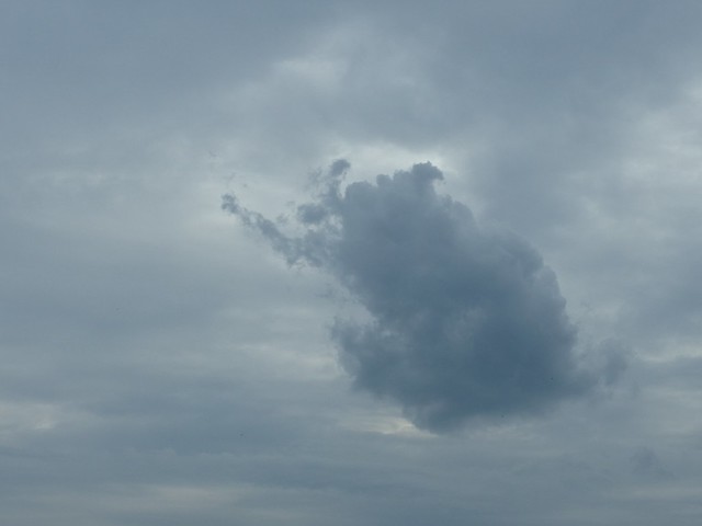 Found Cloud Elephant Rorschach