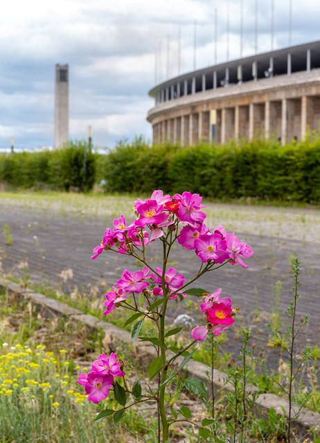 Olympiastadion Berlin in Spring