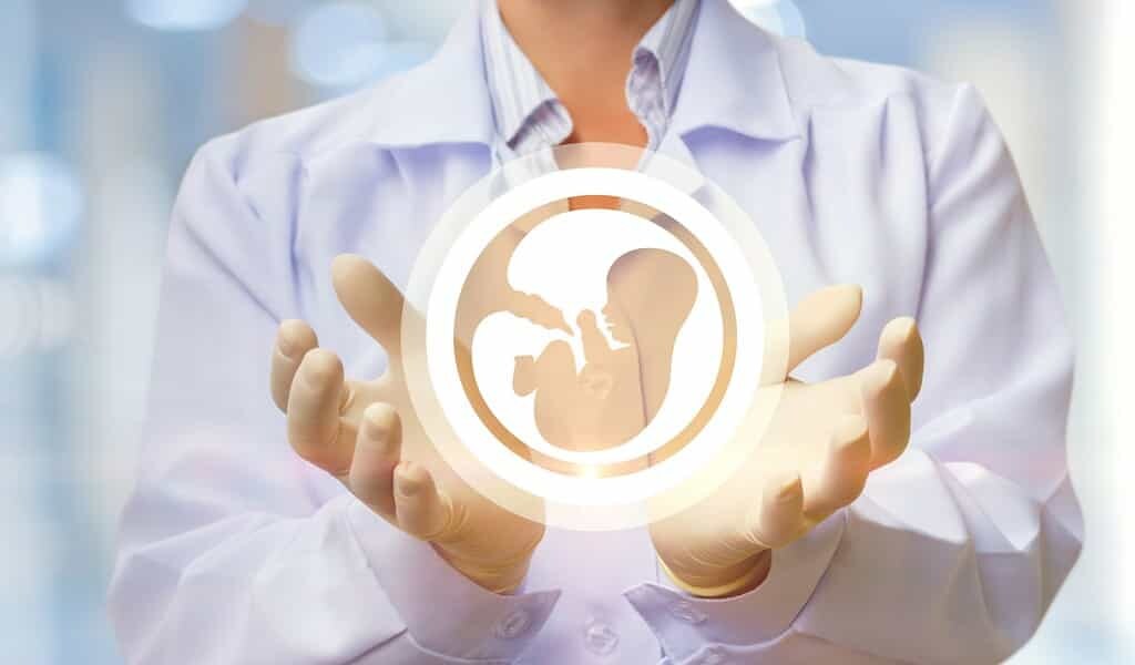 exposition-au-son-dans-utérus-façonne-le-système-auditif-des-fœtus