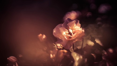 Soi | by OutSide Studio