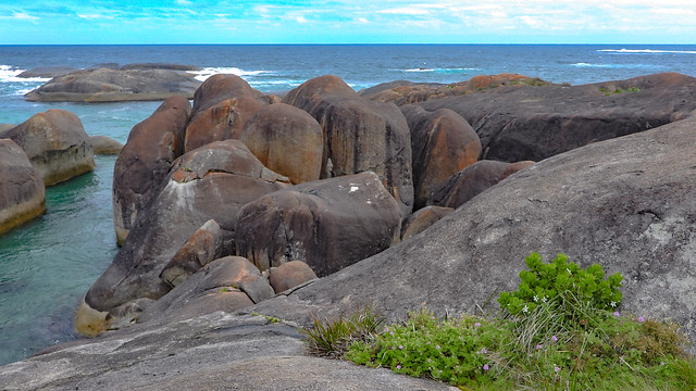 Elephant Rocks | William Bay National Park, Great Southern, Western Australia, Australia