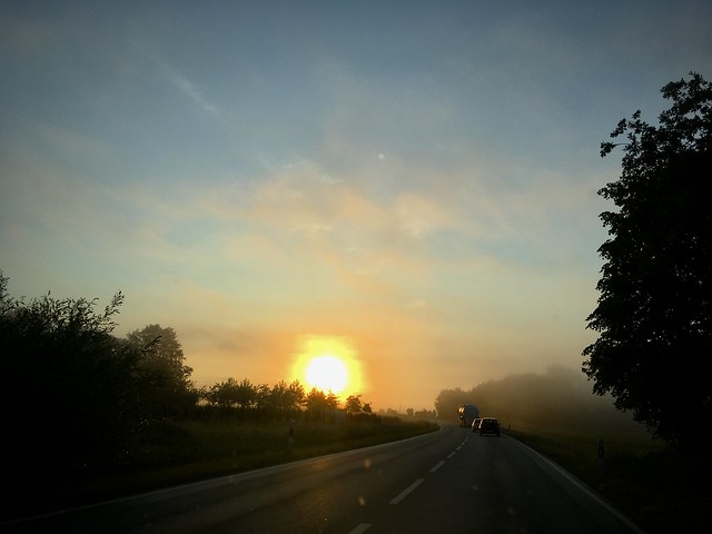 Morning Sun 30.05.2022