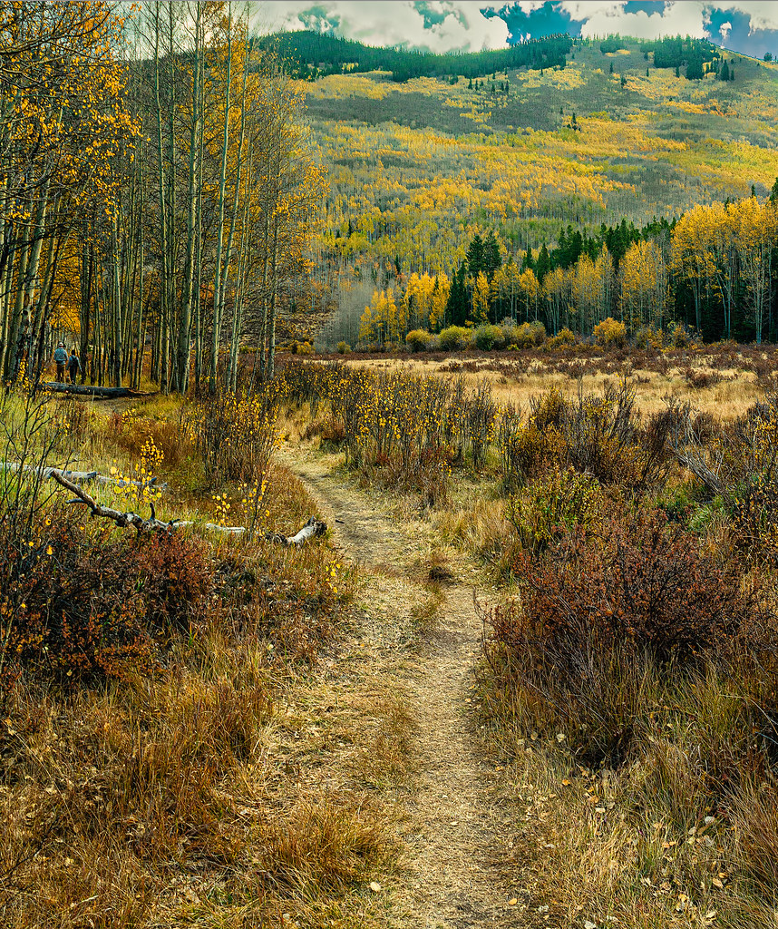 Fall In Kenosha Pass, Colorado