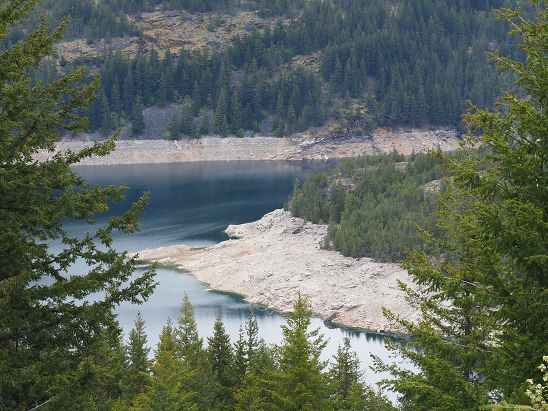 Ross Lake: Level is looking pretty low.