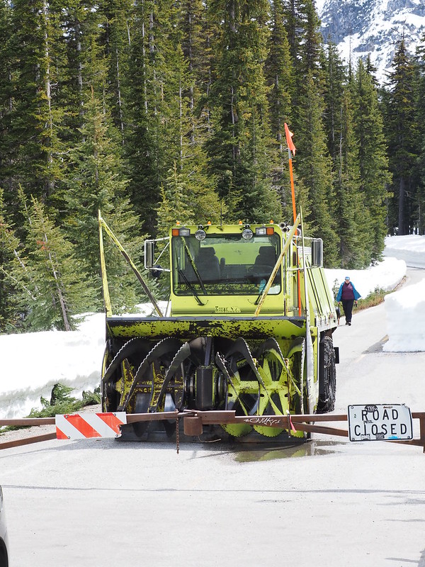 Snow Clearing Apparatus on National Forest Development Road 500