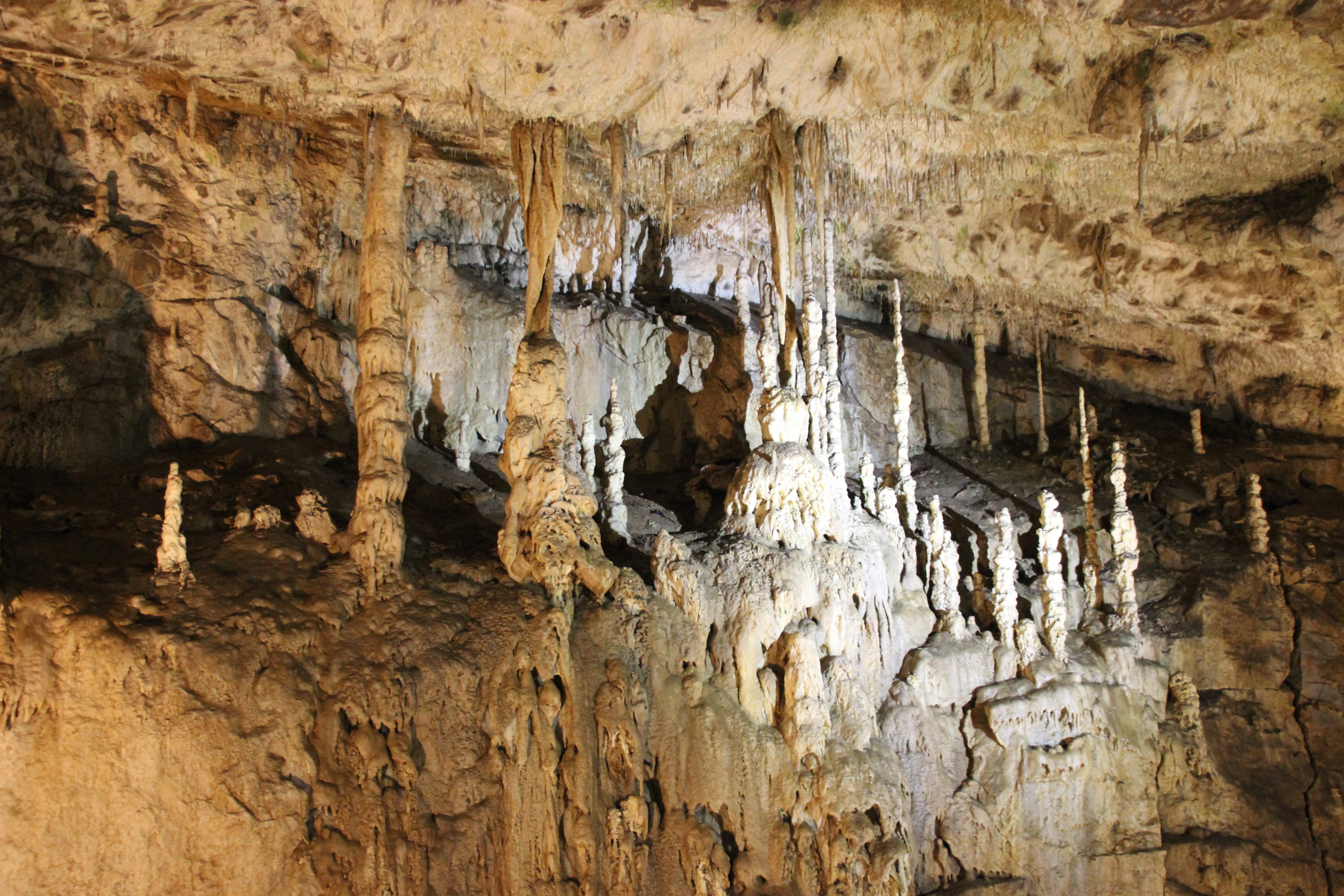 Punkva Caves 19