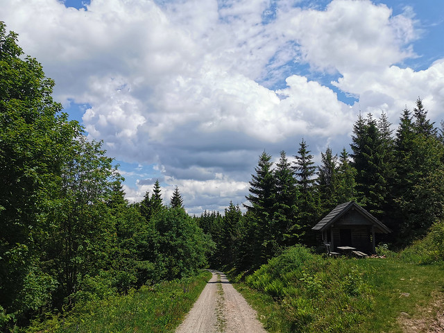 Joli paysage forestier au niveau du refuge Blitz Hütte