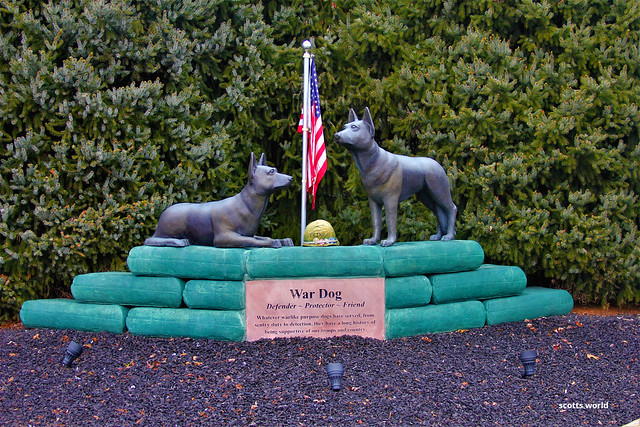 Unsung Heroes-War Dogs