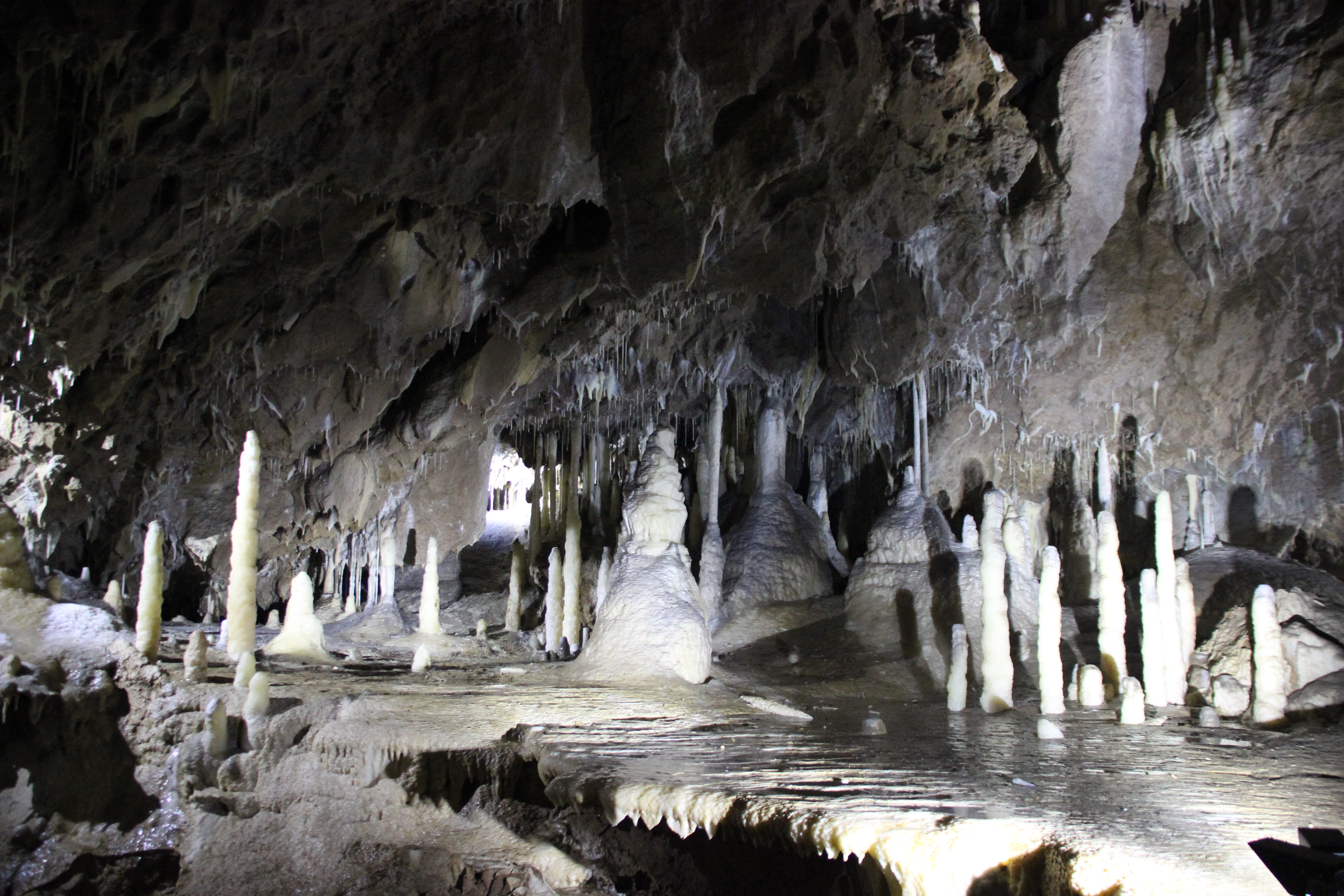 Punkva Caves 47