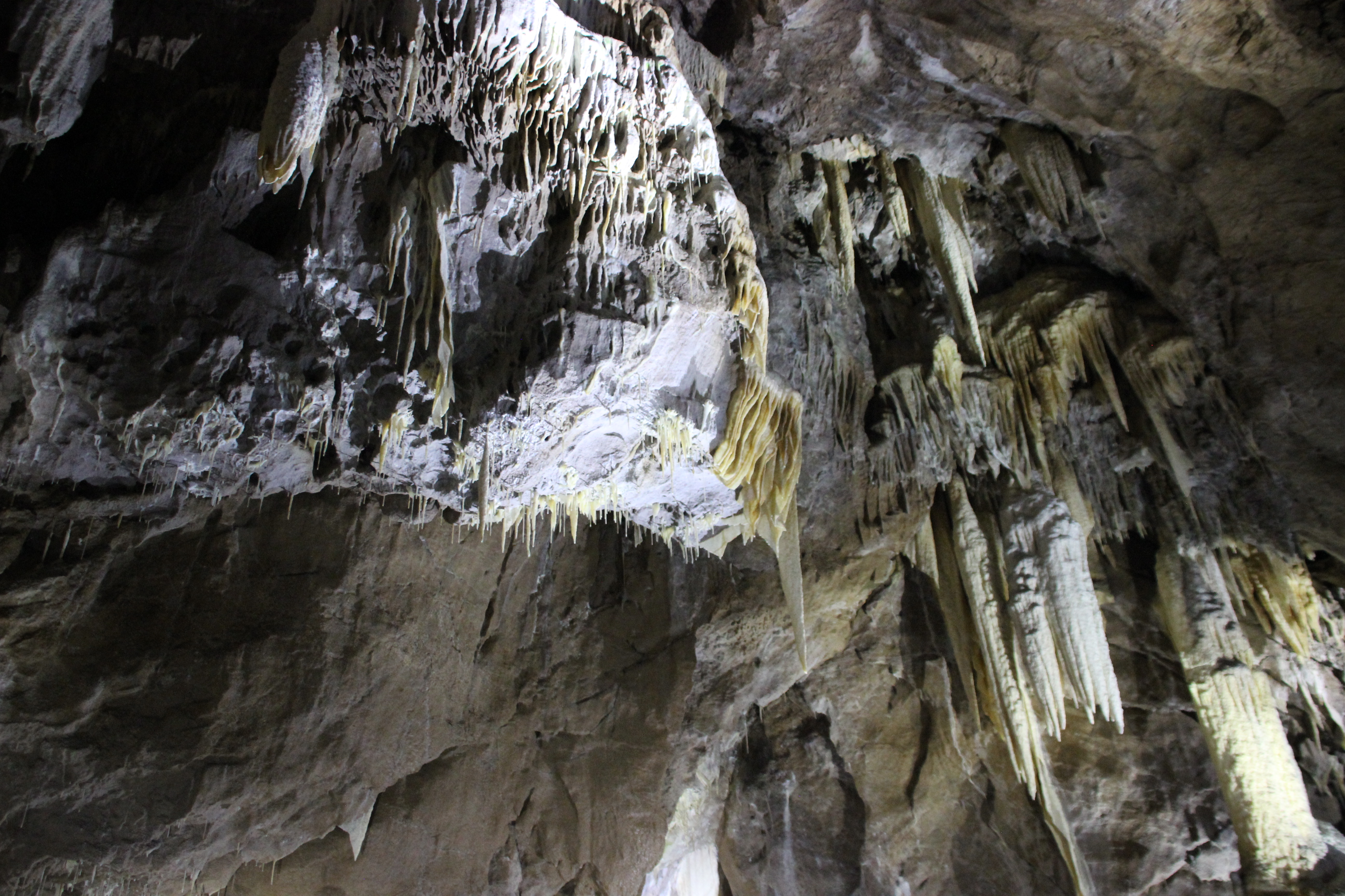Punkva Caves 50