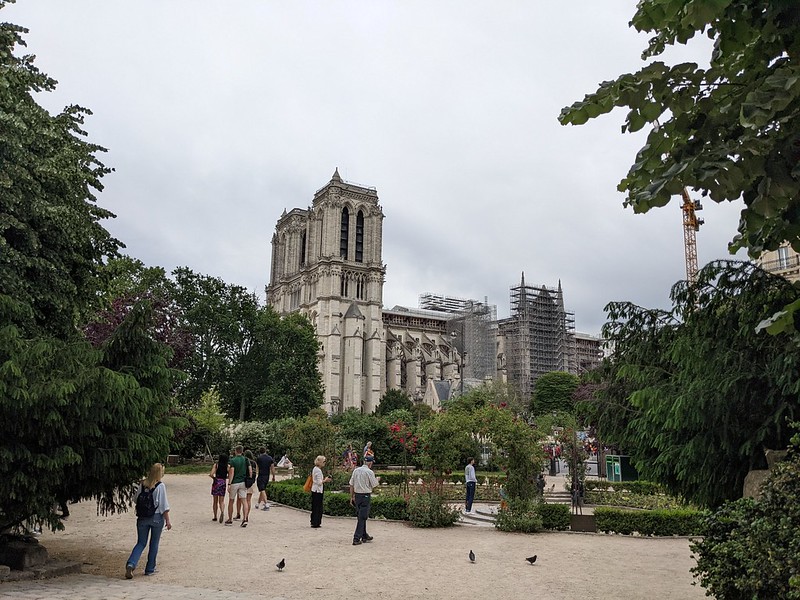 Notre Dame cathedral under repair, seen from a park and framed with trees on either side.
