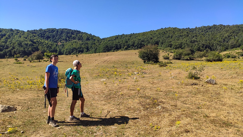 Por el Parque Regional de la Montaña de Riaño y Mampodre - Blogs de España - 6 de agosto: Ruta miradores. Excursión Bosque de Hormas (2)