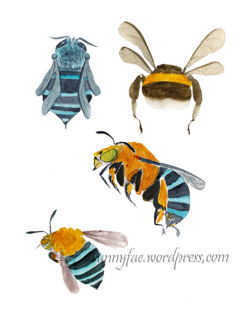 watercolour bee studies