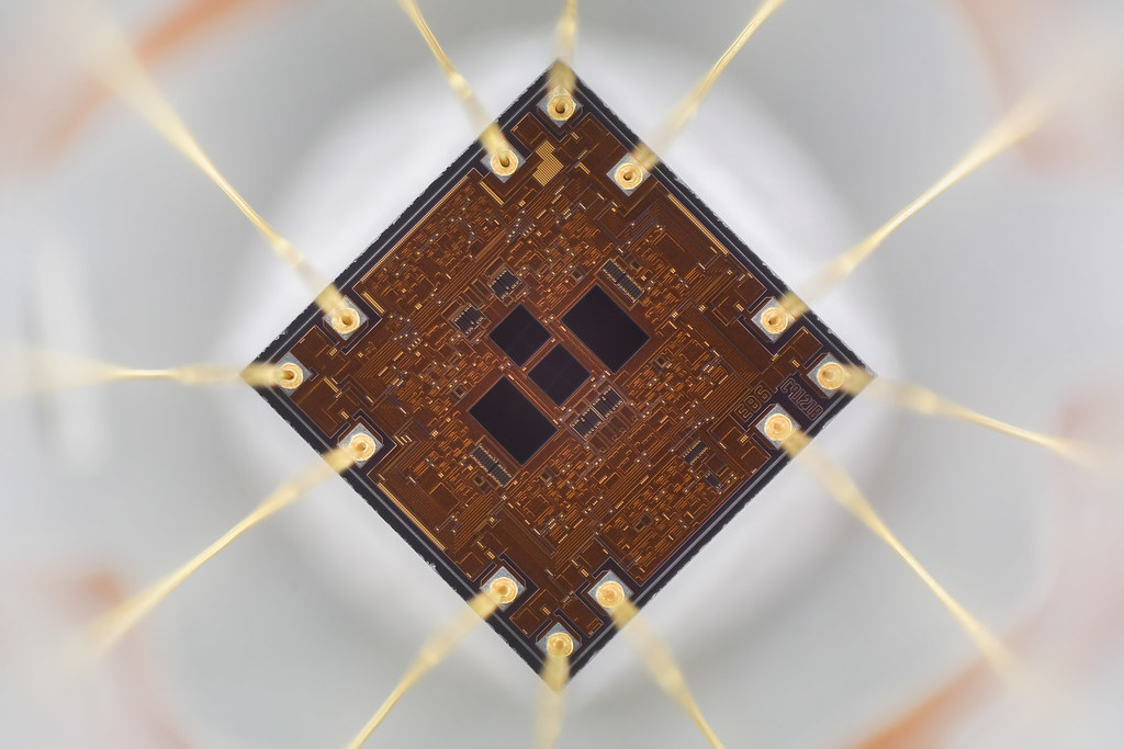 Silicon micro chip