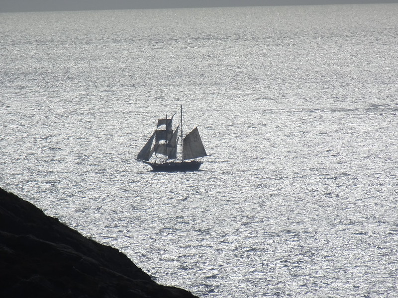 Pembrokeshire Coast Path: Whitesands to Abereiddy and back: Old sailing boat