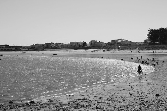 Pêche aux coques sur la plage de Fromentine