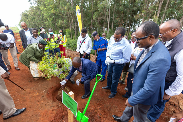 Dr. Adesina official visit to Kenya- Tree planting