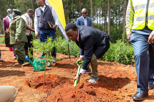 Amos Kipronoh Cheptoo during Official visit to kenya-  Tree planting