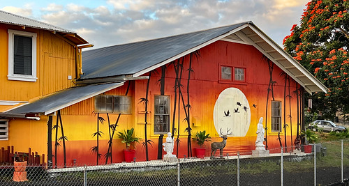 graffiti mural streetart urbanart handpainted publicart hilo hawaii karenrenee ito