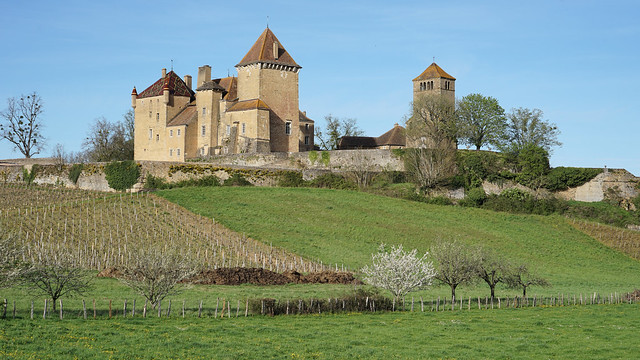 The castle of Pierreclos in spring (explored)