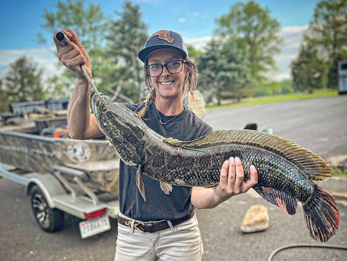 Photo of woman holding a large snakehead fish next to a trailered boat