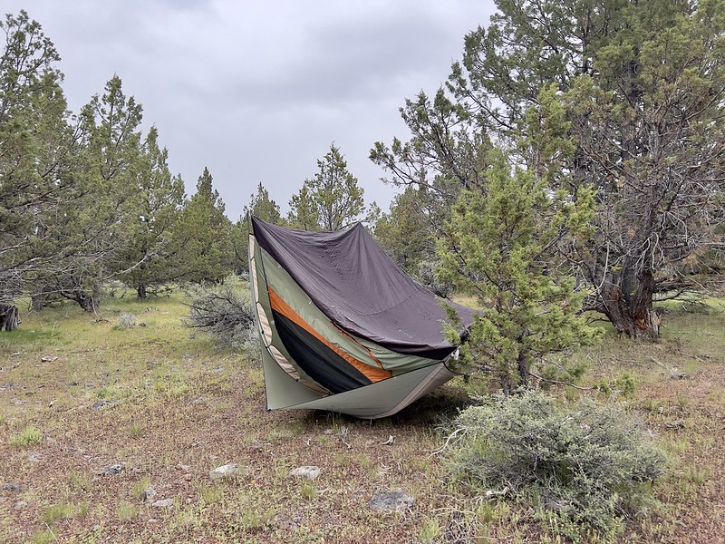 Wind-blown tent