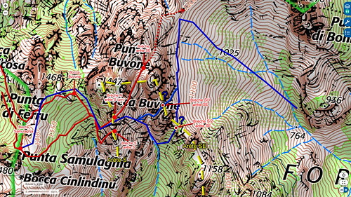Carte IGN du secteur Punta Buvona Sud avec possibilités de traversée des arêtes Sud et Sud-Est