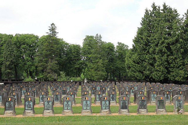 Belgium - Schoonselhof military cemetery.