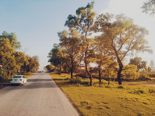 Peaceful... by Fahad Sultan Abbas, Tarbela Road (Pakistan)sunset road trees tarbela tarbelaroad gikinstituteofengineeringsciencesandtec