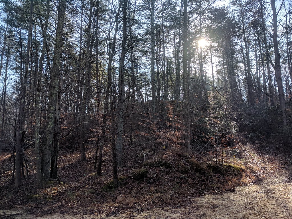 Duck Cove Pond Loop