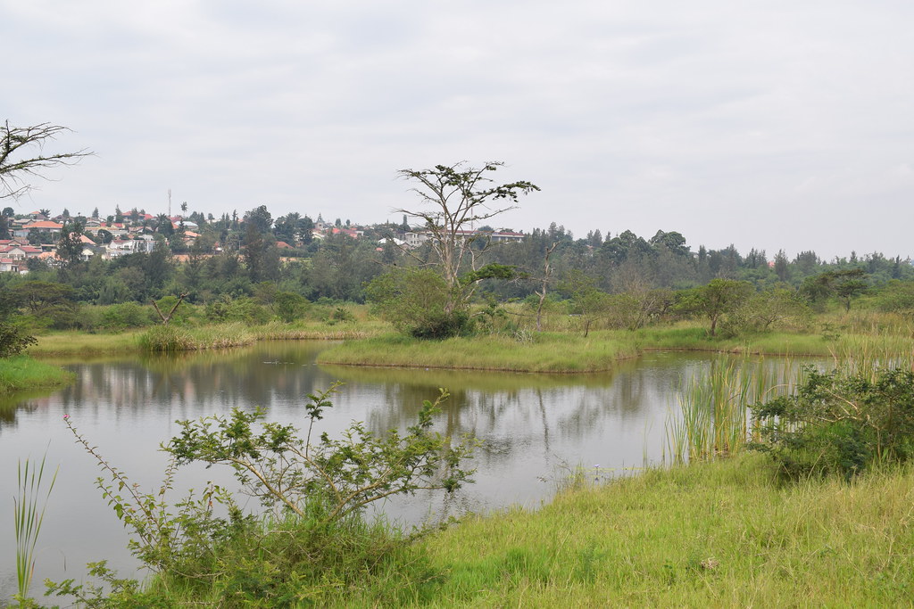 nyandungu urban wetland eco tourism park