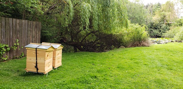 Backyard Beekeepers