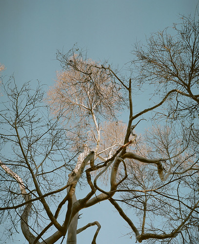 Untitled | by bou-vie
