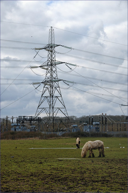 Ponies and Pylons
