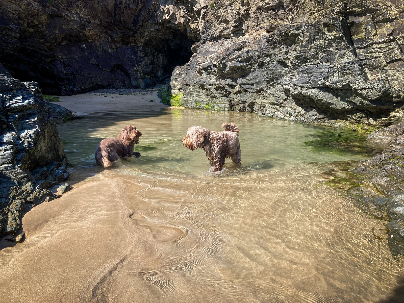 We found a swimming hole