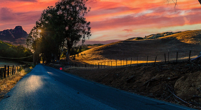 Rural Road at Sunset-