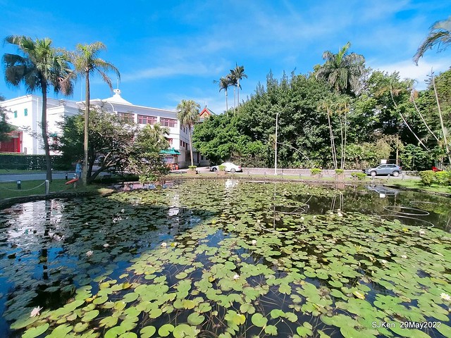 「國立台灣藝術教育館前睡蓮池」(Waterlily pool at National Taiwan Arts Education Center, Taipei, Taiwan, SJKen, May 29, 2022.
