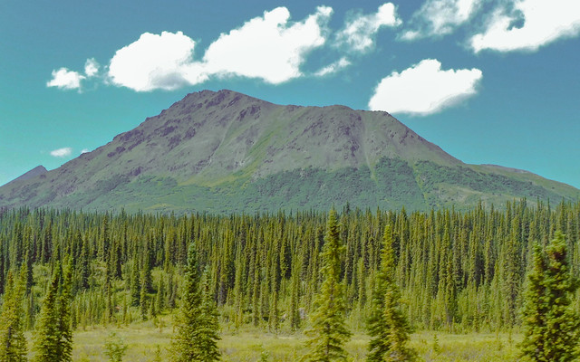 Alaskan wilderness viewed from Denali Star | Cantwell (closest town), Alaska, USA