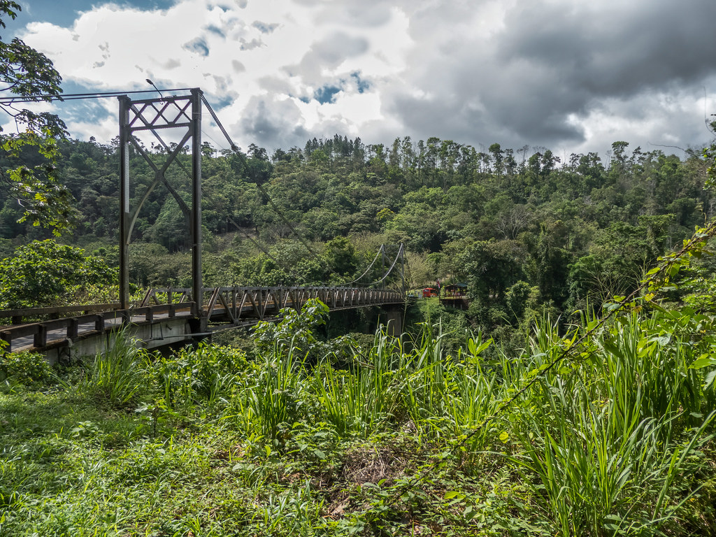 Un pont dans la jungle vers la Fortuna... 52119152140_6b26e9ded5_b