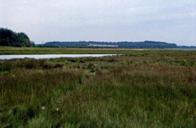 Downeaster Crossing Scarborough Marsh
