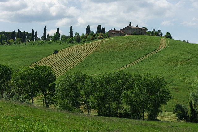 Tractor Working on Steep Hill – Tuscany 18