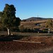 Landscape from National Arboretum Canberra